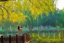 178雨燕直播足球比分-178雨燕直播，足球比分实时追踪的激情盛宴